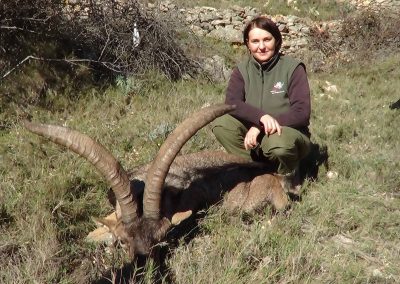 spanish-ibex-hunting-beceite-08