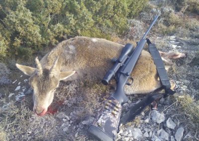 spanishibexhunt.com--029